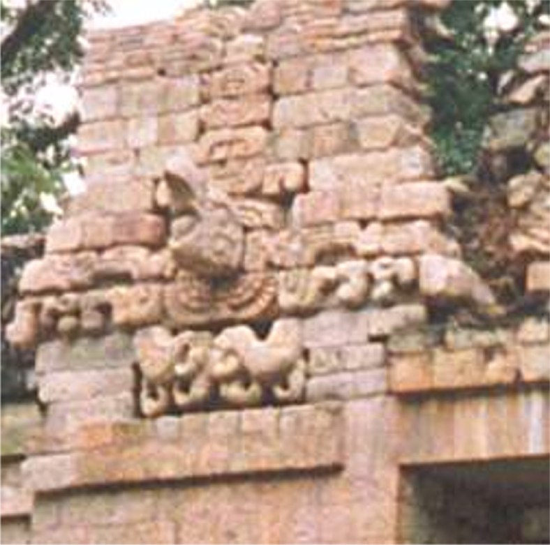 copan2